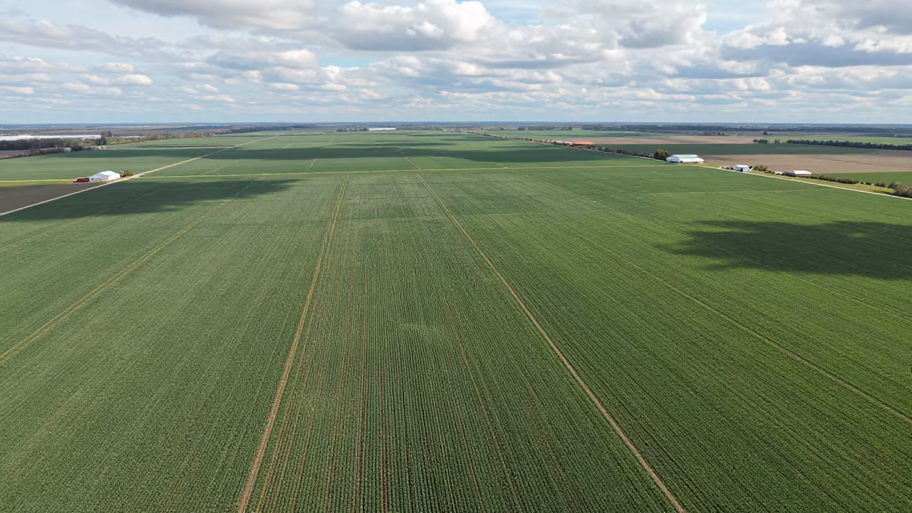 Kansas Corn and Soybean Checkerboard Aerial View in in Kansas