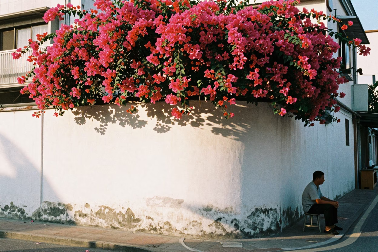 Kaohsiung street corner late morning bougainvillea white wall candid local life Taiwan in in Kaohsiung, Taiwan
