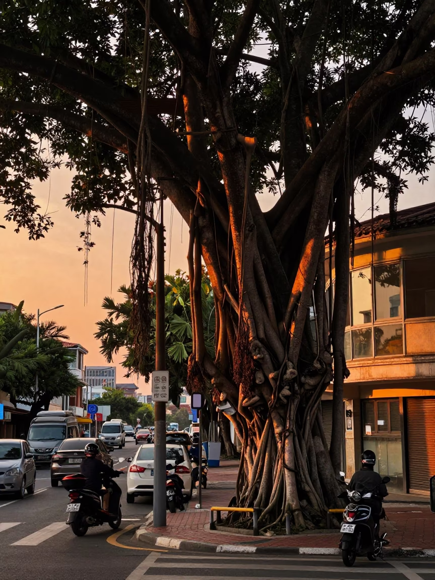 Kaohsiung Sunset Street Scene with Banyan Trees and Glass Tumblers in in Kaohsiung, Taiwan