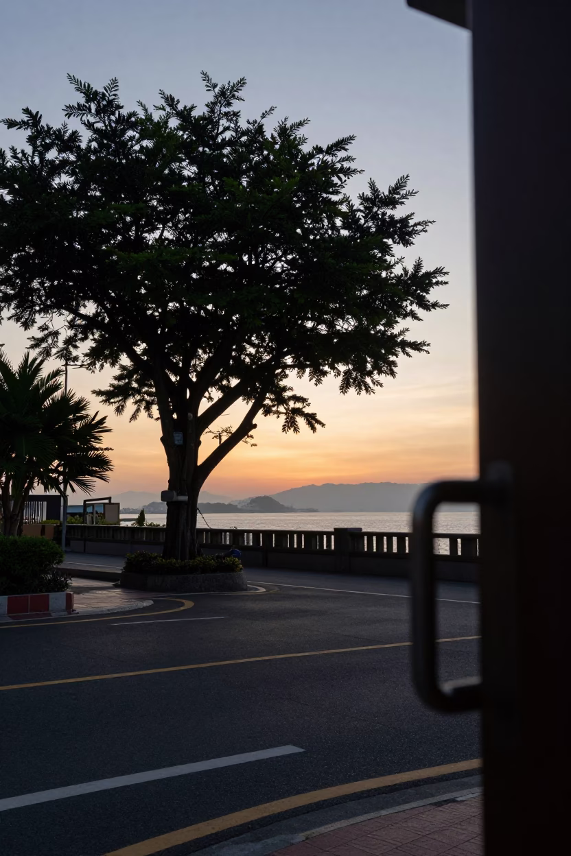 Kaohsiung Taiwan Dawn Street Scene with Tree and Door Handle in in Kaohsiung, Taiwan