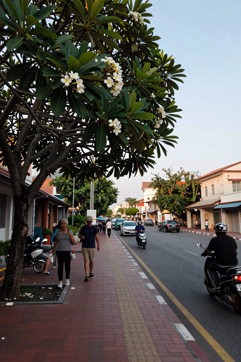 Kaohsiung Taiwan Early Afternoon Street Scene with Plumeria Tree and White Petals in in Kaohsiung, Taiwan