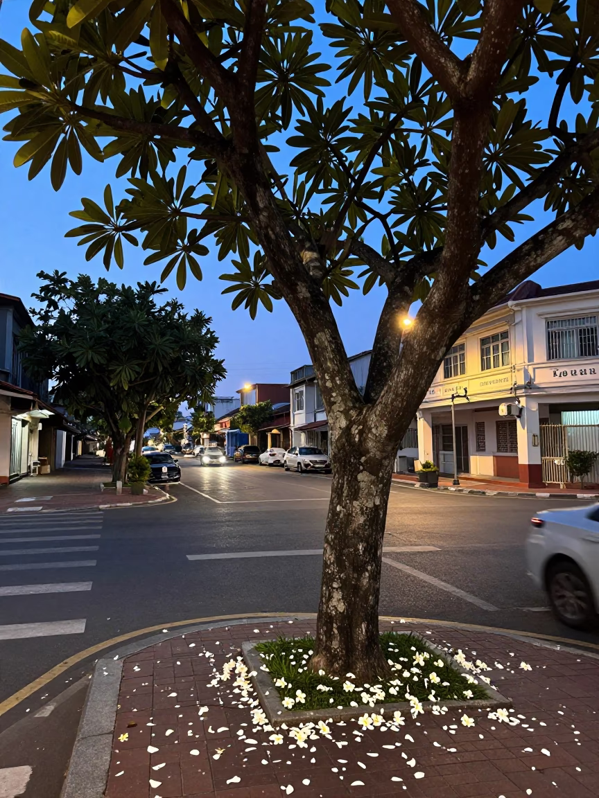 Kaohsiung Taiwan Early Evening Street Scene with Plumeria Tree and Urban Landscape in in Kaohsiung, Taiwan