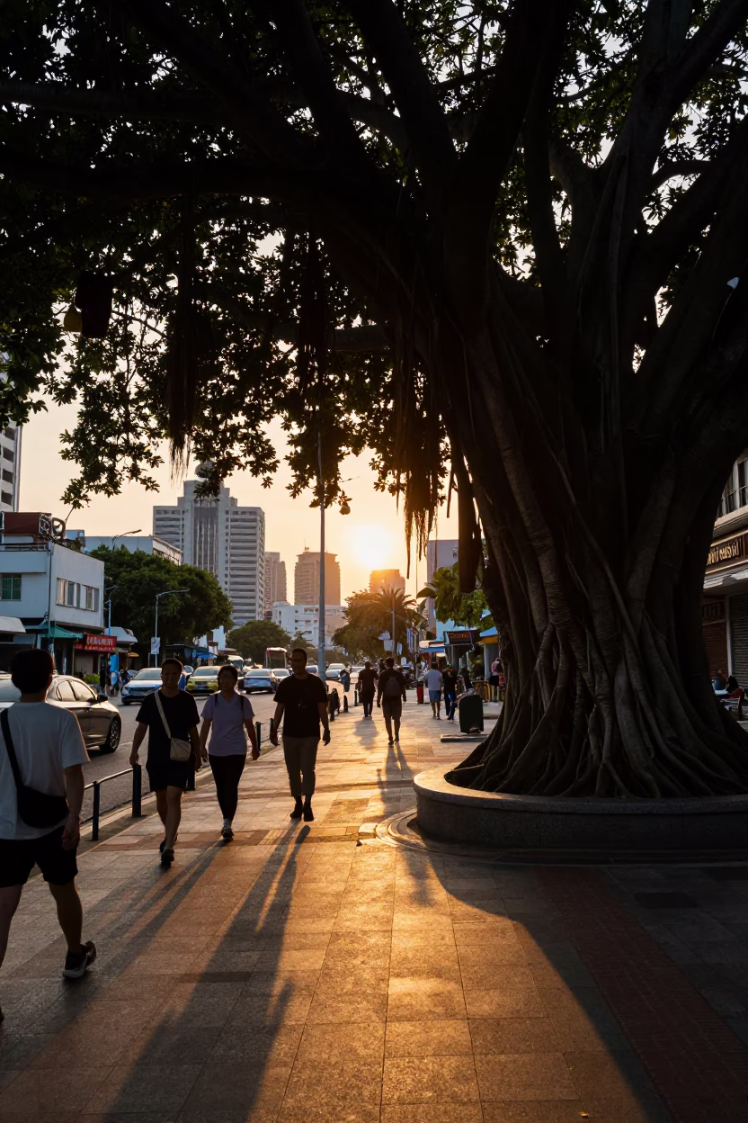 Kaohsiung Taiwan Sunset Street Scene with Banyan Tree Roots and Local Life in in Kaohsiung, Taiwan