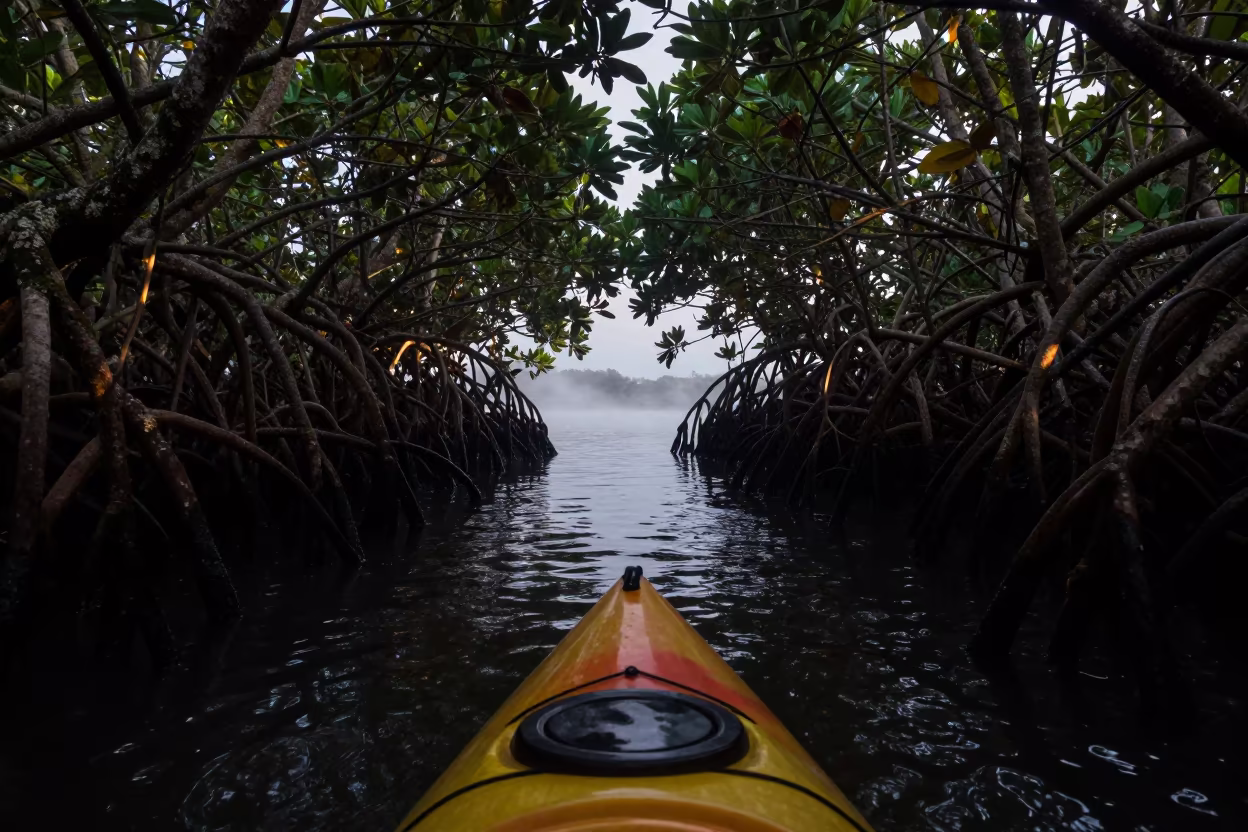 Kayak in Colombian Mangrove Tunnel at Dusk in beside a fogbound harbor mouth in Colombia