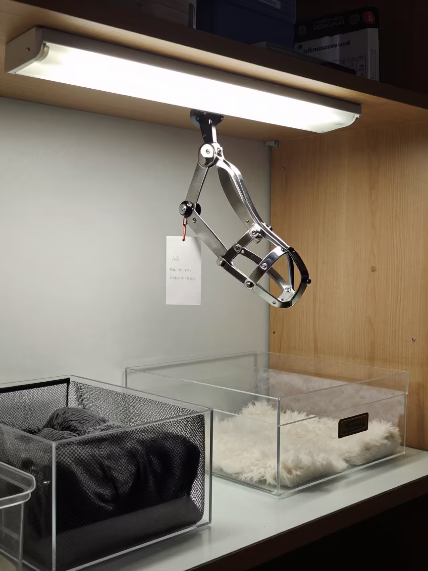 Kennel Grooming Muzzle Rack Under Fluorescent Light in inside a fish bagging counter zone near Liège