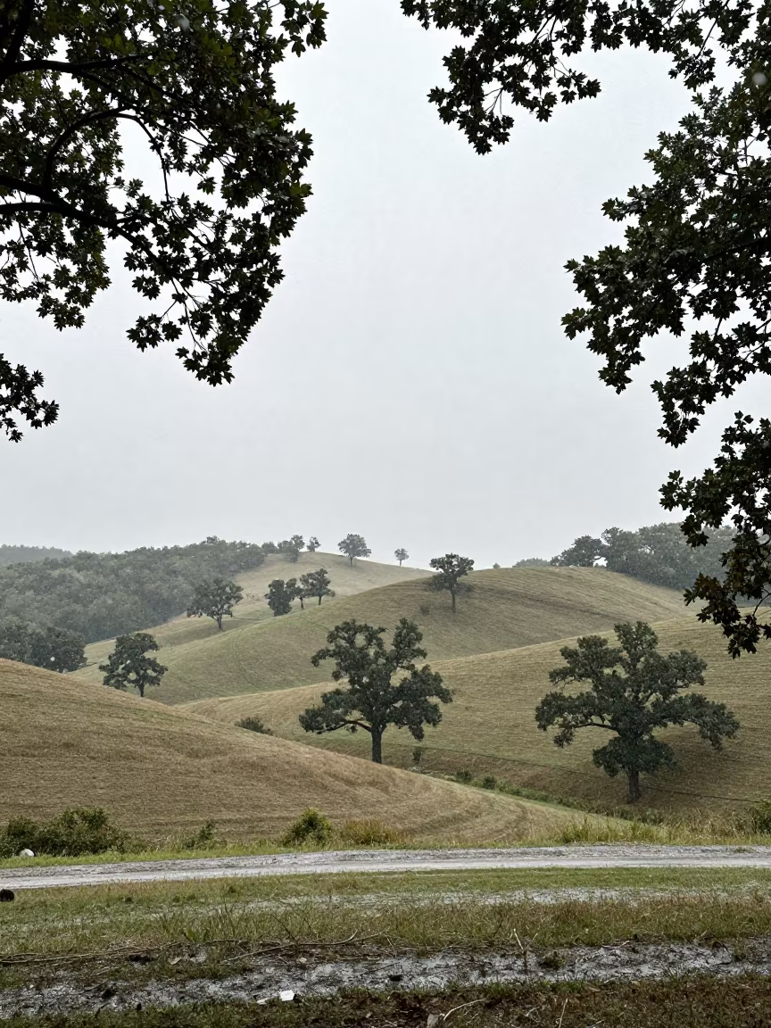 Kentucky Hills Silhouetted Against Monsoon Snow in along a wave-cut shoreline in Kentucky