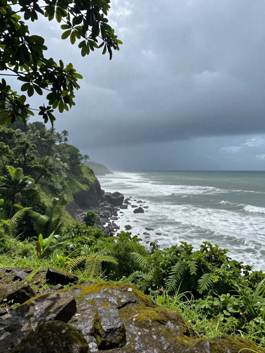 Kerala Wet Season Basin Under Dappled Noon Light in in Kerala