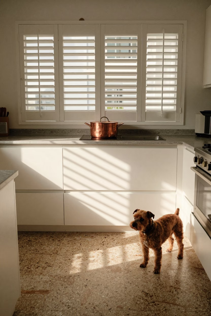 Kitchen Counter in Miami in in Miami, Florida, United States