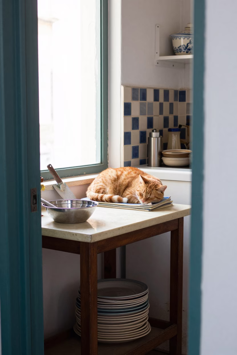 Kitchen Workbench in Naples in in Naples, Italy