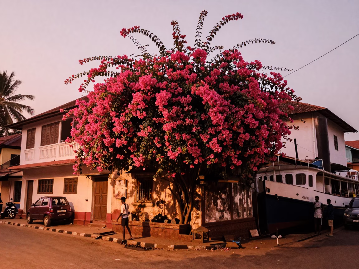 Kochi Fort area street scene with bougainvillea and steamship in background in in Kochi, India