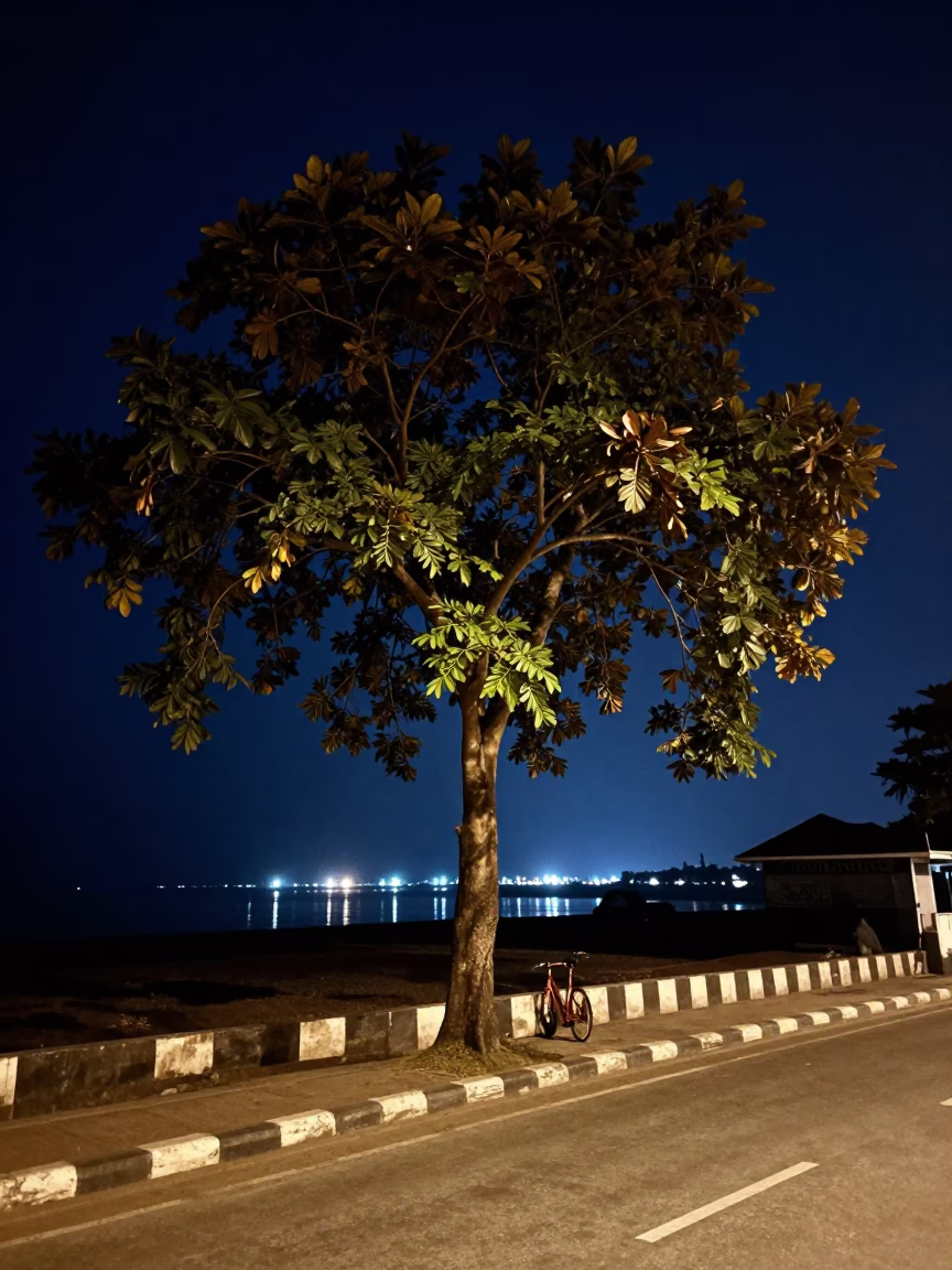 Kochi India Night Street Scene with Copper Beech Tree and Leather Basketball in in Kochi, India