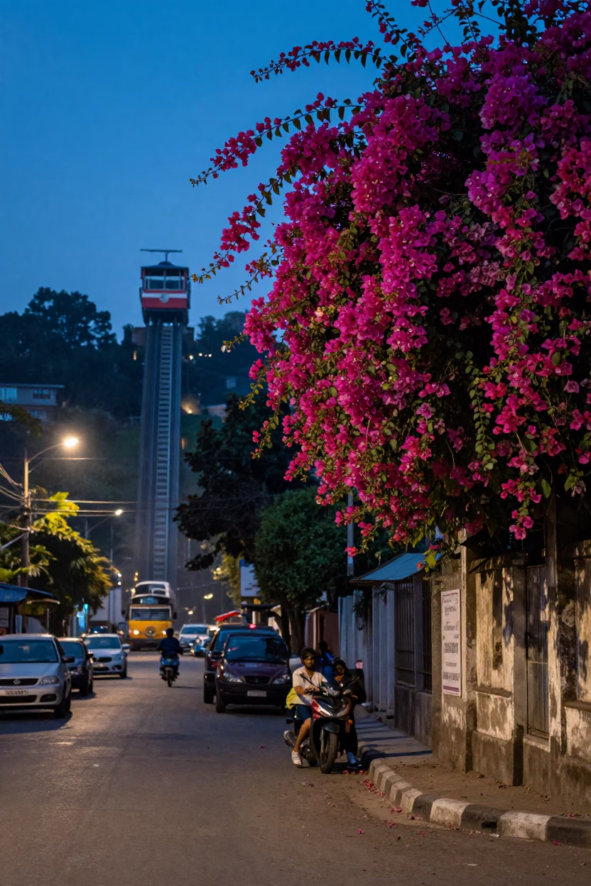 Kolkata Evening Street Scene with Bougainvillea and Funicular Hill Climb in Blue Light in in Kolkata, India