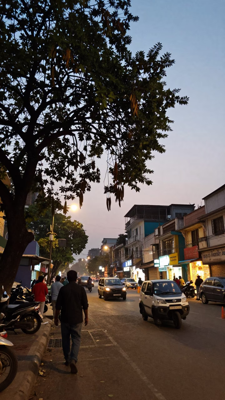 Kolkata Evening Street Scene with Tamarind Tree and Local Market Activity in in Kolkata, India