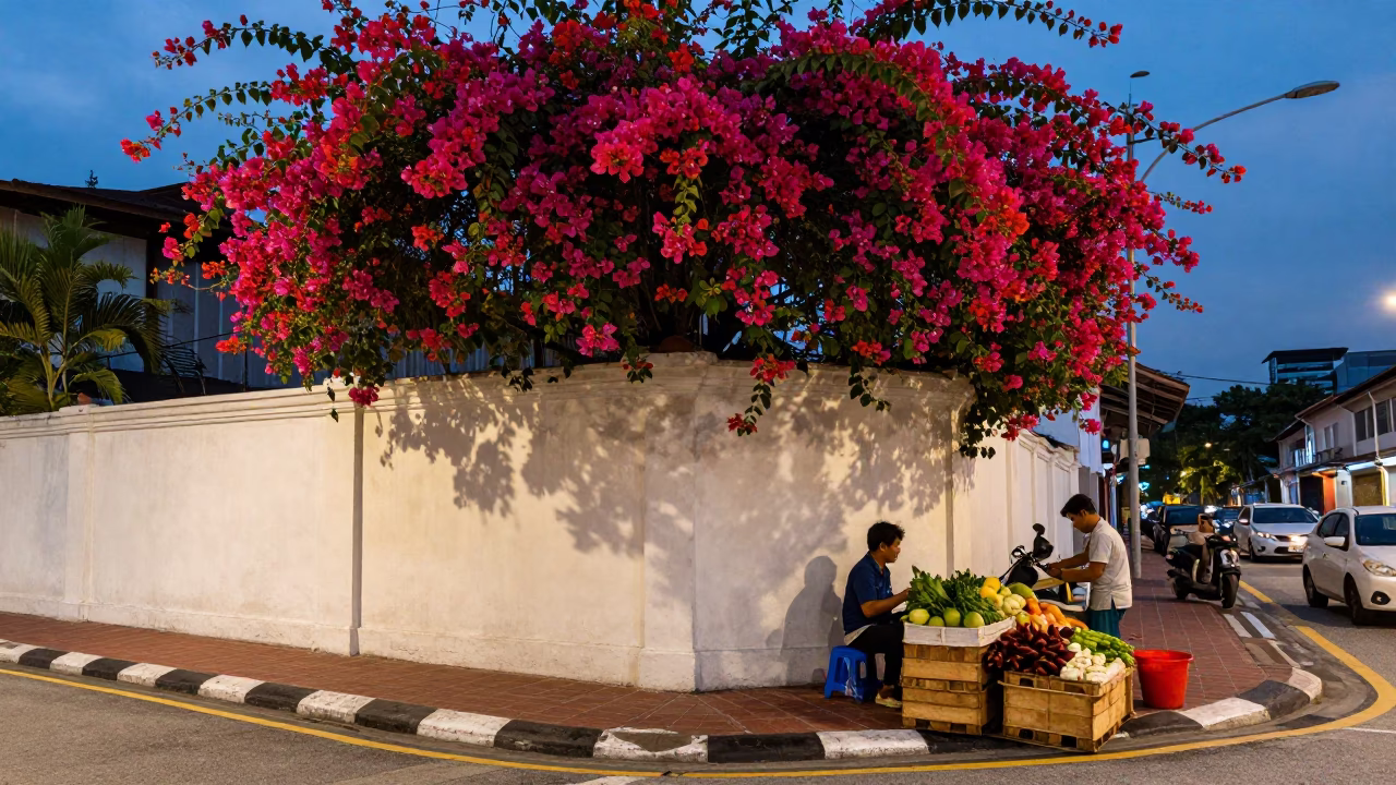 Kuala Lumpur Street Scene Early Evening Bougainvillea and Local Interaction in in Kuala Lumpur, Malaysia