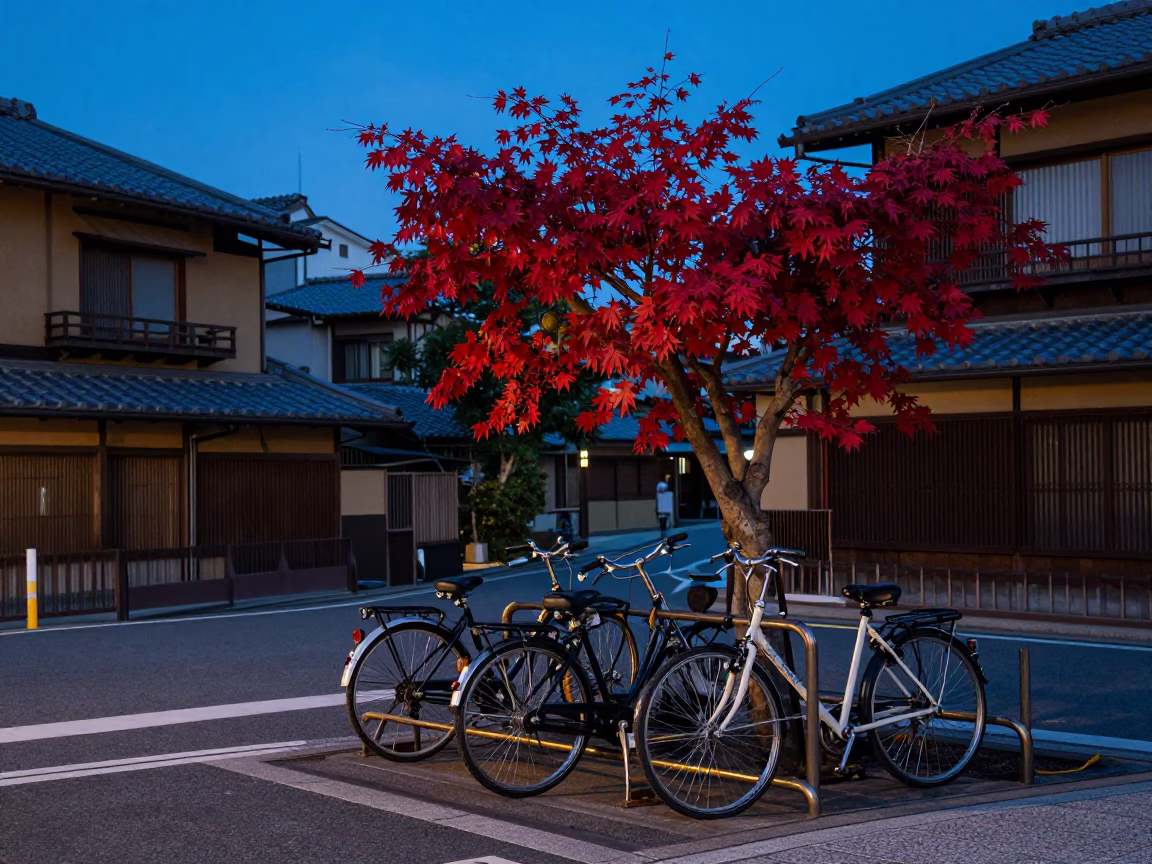 Kyoto Blue Hour Street Scene with Japanese Maple and Bicycle Rack in in Kyoto, Japan