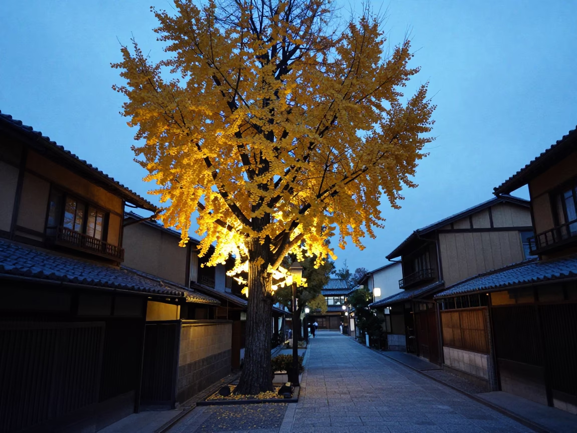 Kyoto Evening Blue Hour Street Scene with Ginkgo Tree and Rolling Carts in in Kyoto, Japan