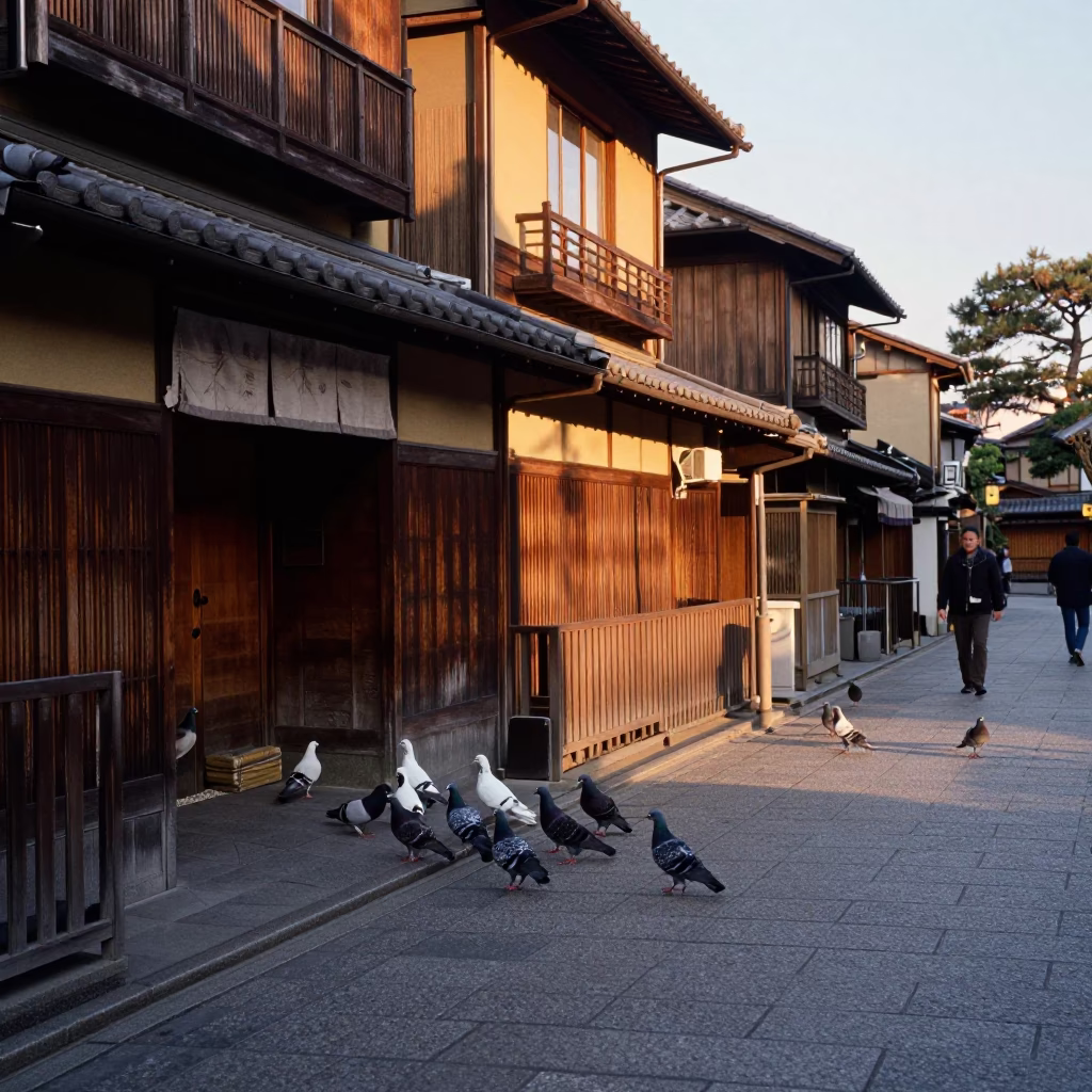 Kyoto Evening Street Scene with Pigeons and Traditional Architecture in Honeyed Light in in Kyoto, Japan
