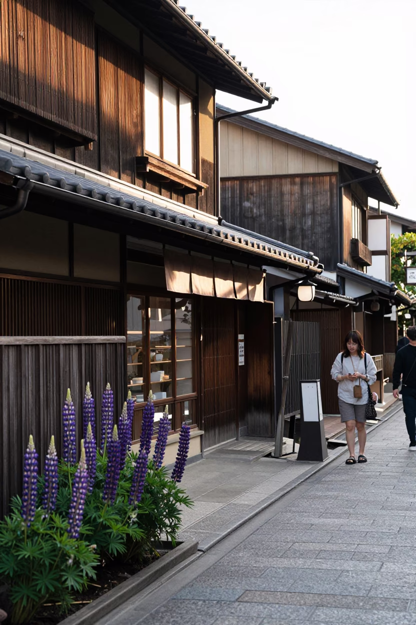 Kyoto Japan Early Afternoon Street Scene with Purple Lupins and Traditional Architecture in in Kyoto, Japan
