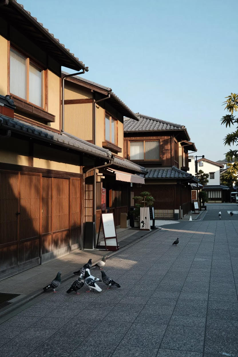 Kyoto Japan late afternoon street scene with pigeons and traditional architecture in in Kyoto, Japan