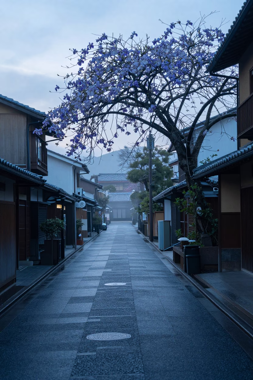 Kyoto Japan Pre-Dawn Street Scene with Iris Blossoms and Morning Mist in in Kyoto, Japan