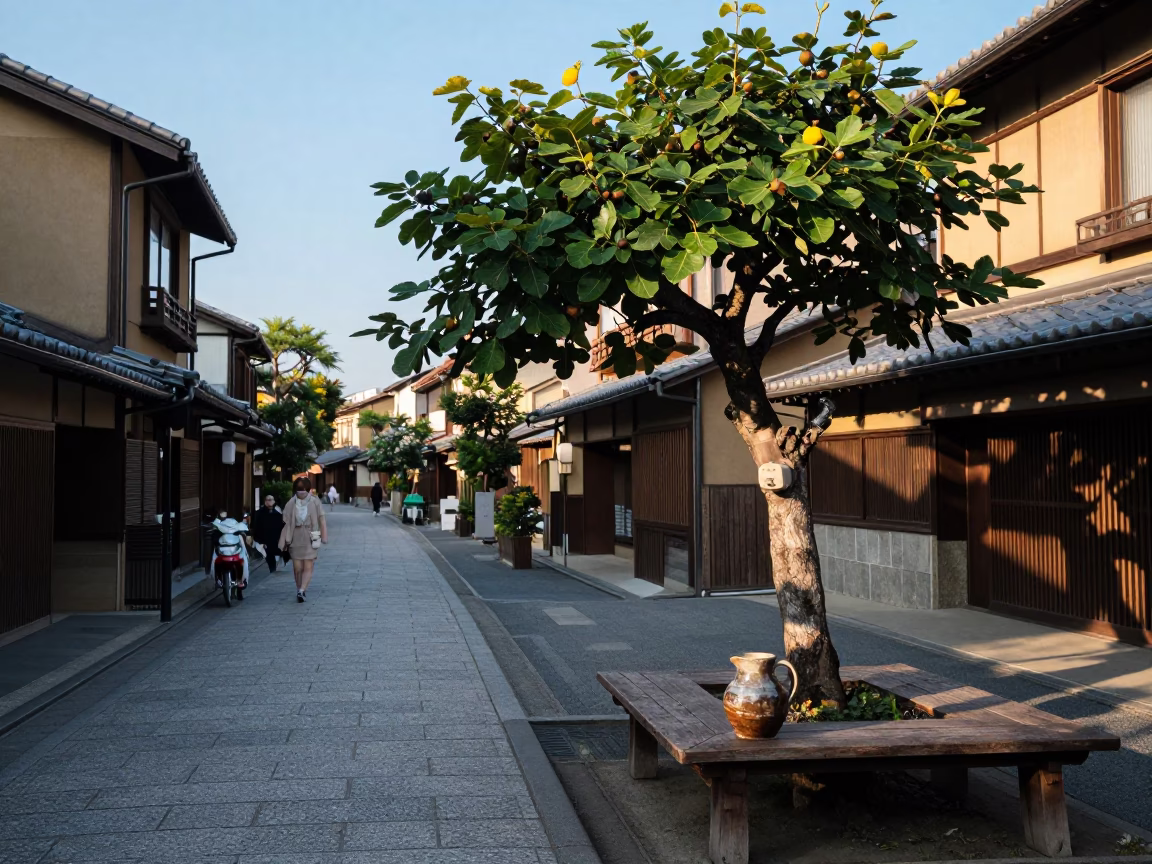 Kyoto Late Afternoon Street Scene with Fig Tree and Traditional Pitcher in in Kyoto, Japan