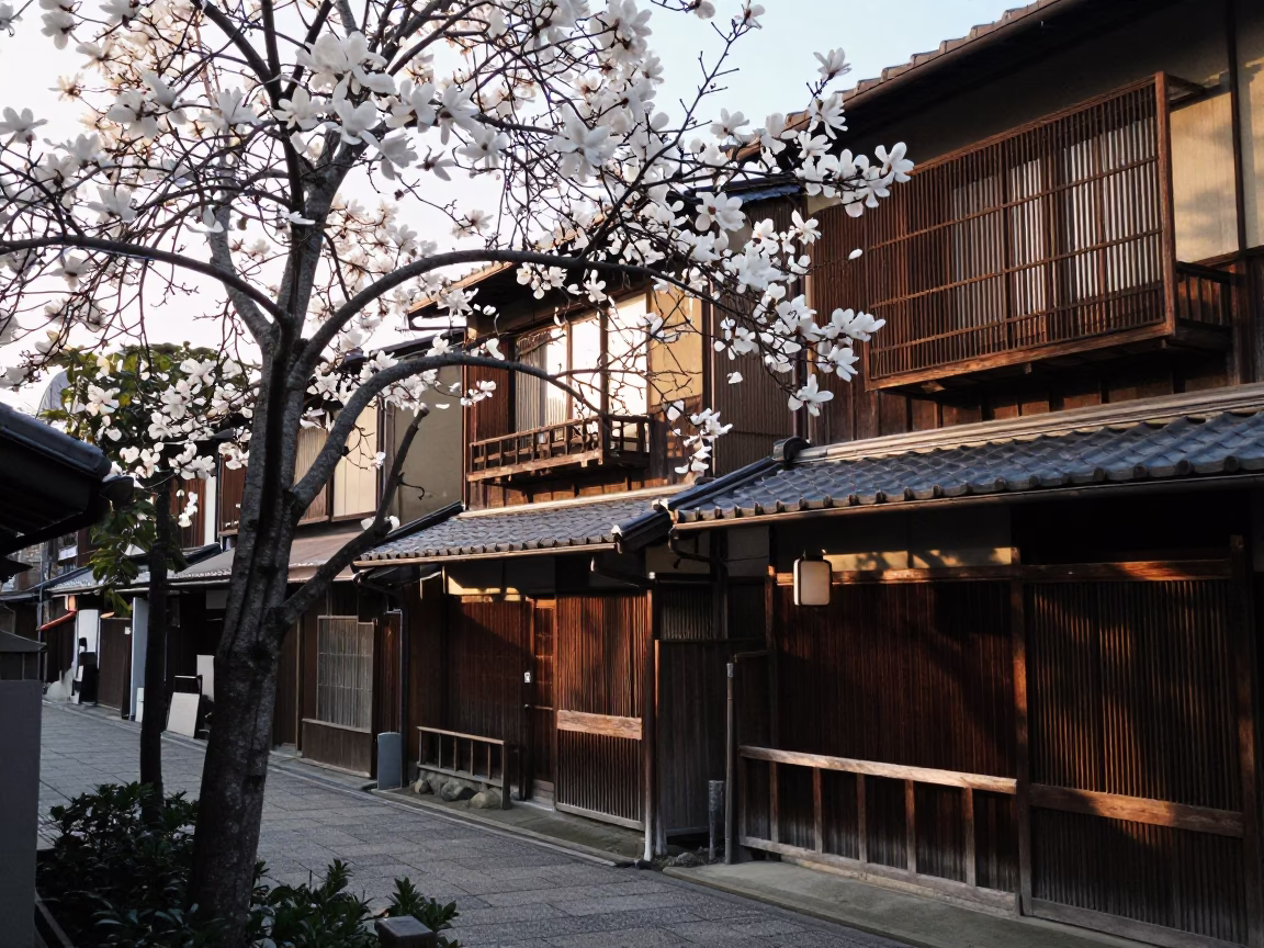 Kyoto Morning Street Scene with Magnolia Tree and Traditional Architecture in First Light in in Kyoto, Japan