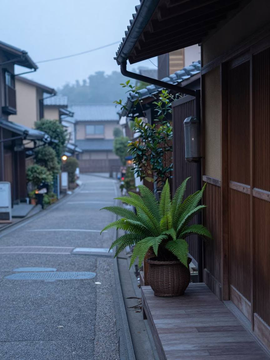 Kyoto Nautical Dawn Street Scene with Ferns and Wicker Shadows in in Kyoto, Japan