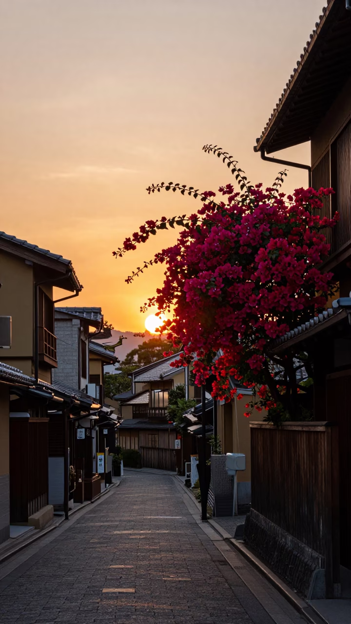 Kyoto Street Scene at Dusk with Bougainvillea and Traditional Architecture in in Kyoto, Japan