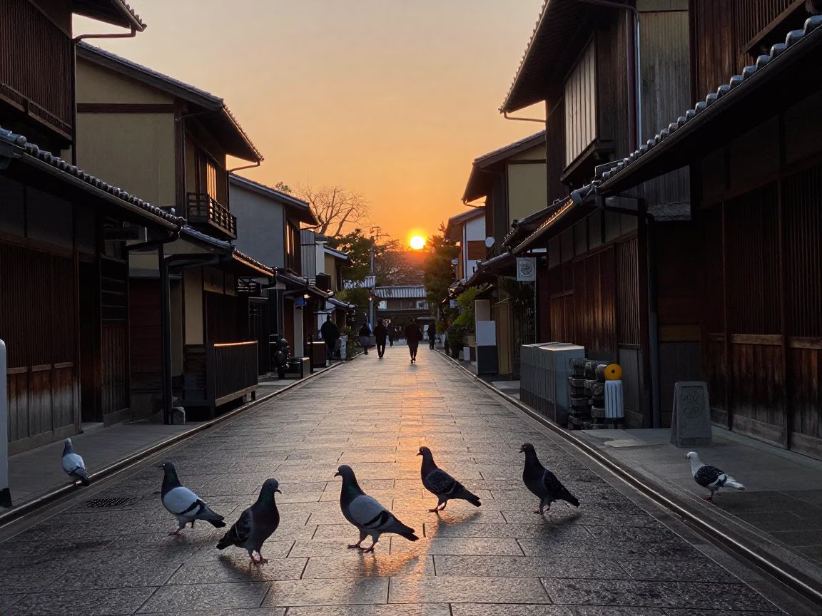 Kyoto Street Scene at Dusk with Pigeons and Traditional Architecture in in Kyoto, Japan