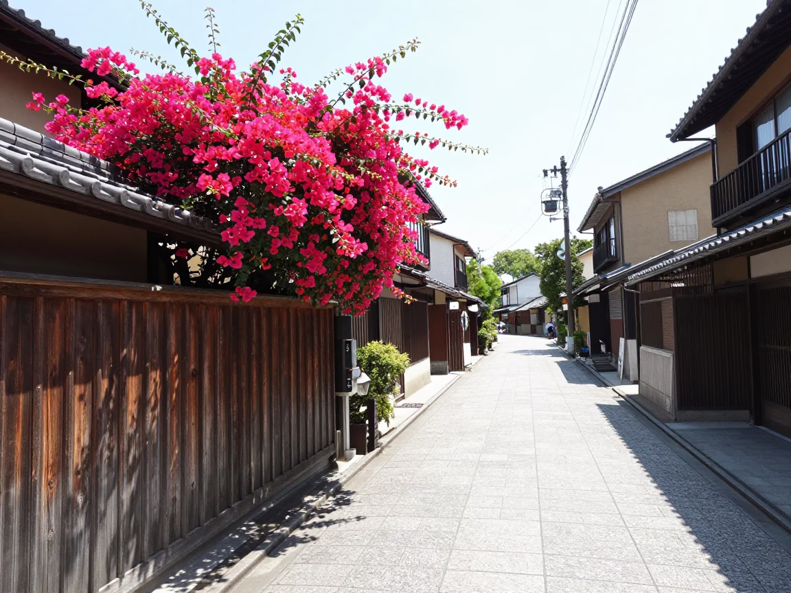 Kyoto Street Scene Under Flat Noon Glare With Bougainvillea Blooms And Local Passersby in in Kyoto, Japan