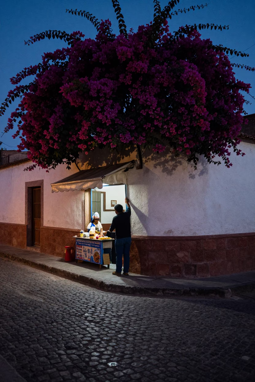 La Paz Bolivia Predawn Street Scene with Bougainvillea and Urban Morning Ambiance in in La Paz, Bolivia