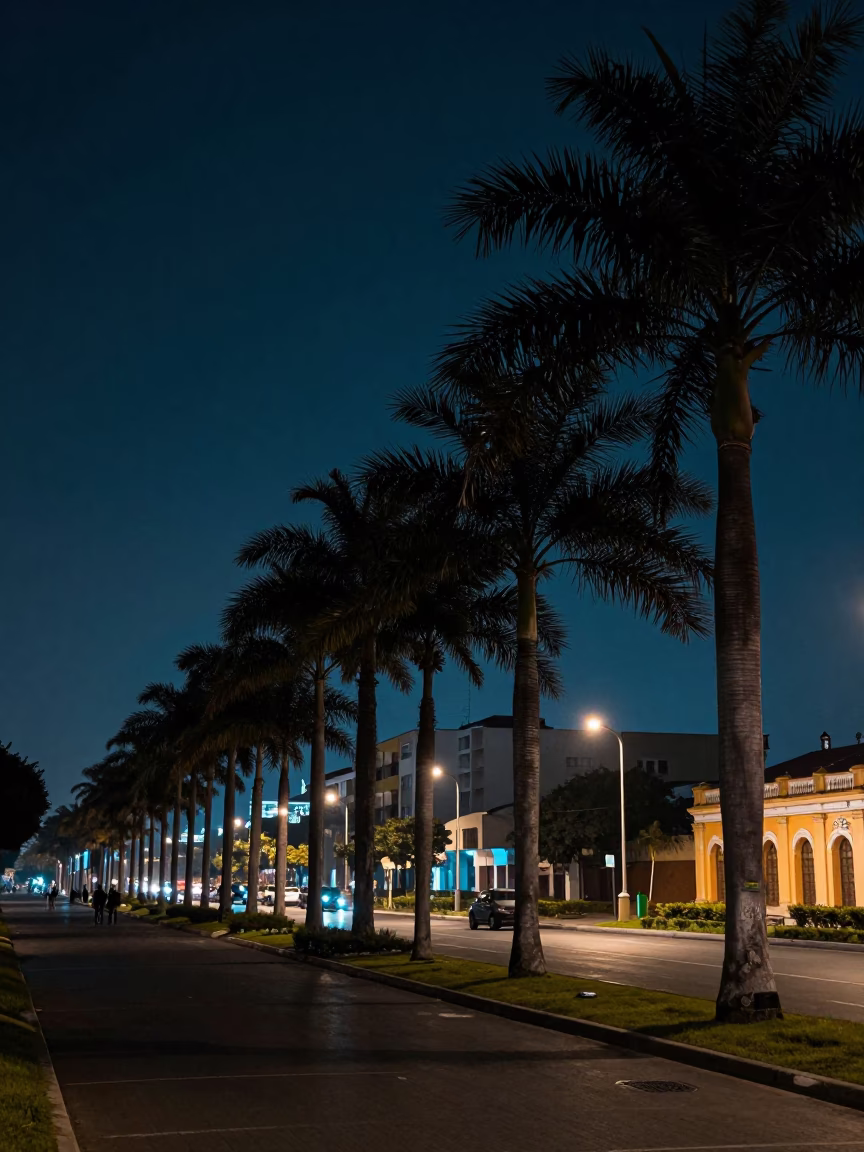 Landscape in Lima at Deep In The Night Light in in Lima, Peru