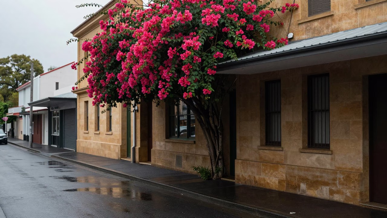 Laneway Facade in Adelaide in in Adelaide, South Australia, Australia