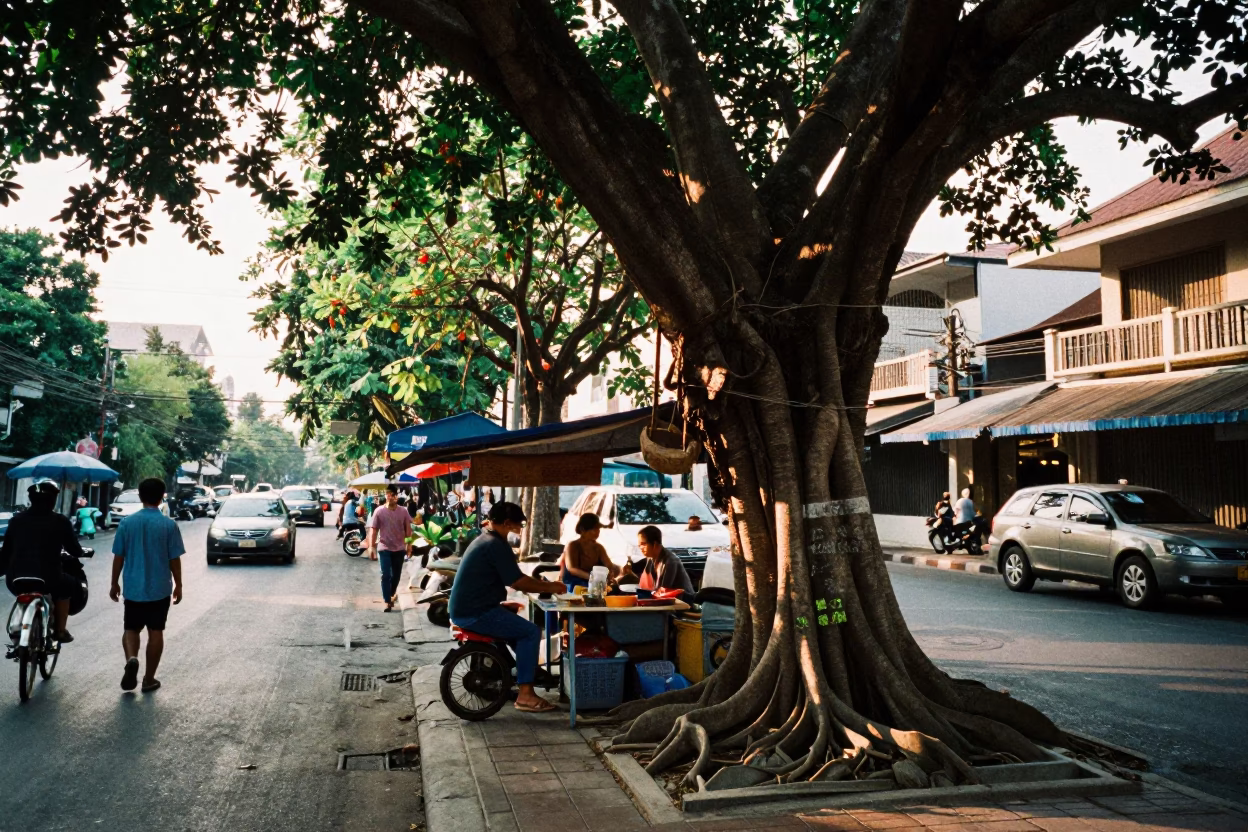Late Afternoon Bangkok Street Scene with Kapok Tree Buttress Roots and Glass Jar in in Bangkok, Thailand