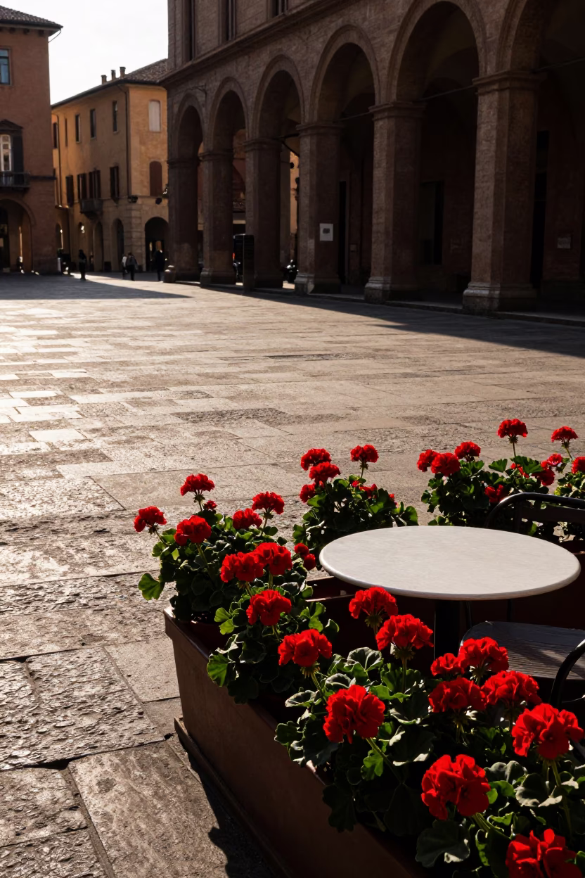 Late Afternoon Bologna Street Scene with Potted Geraniums and Pastries in in Bologna, Italy