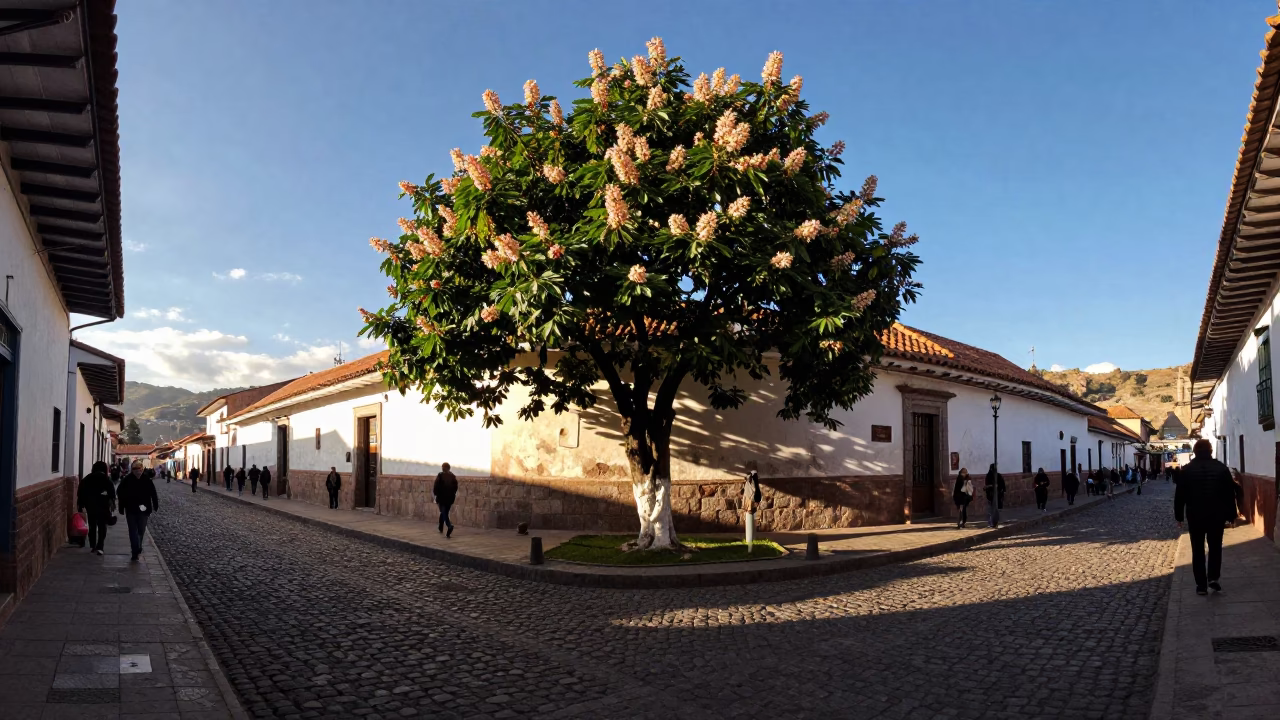 Late Afternoon Cusco Street Scene with Chestnut Tree and Doormat in Plaza in in Cusco, Peru