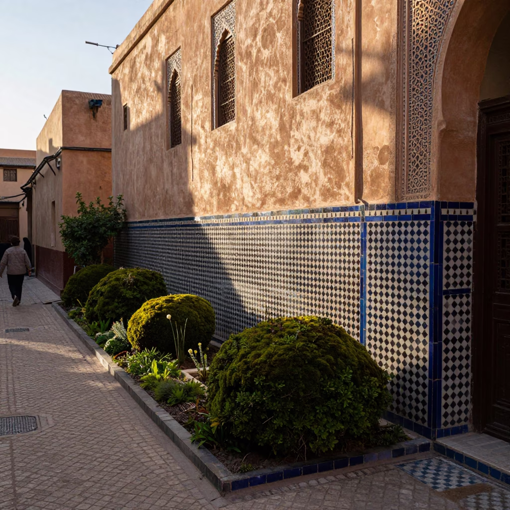 Late Afternoon Fez Morocco Street Scene with Moss Garden and Climbing Jasmine Trellis in in Fez, Morocco