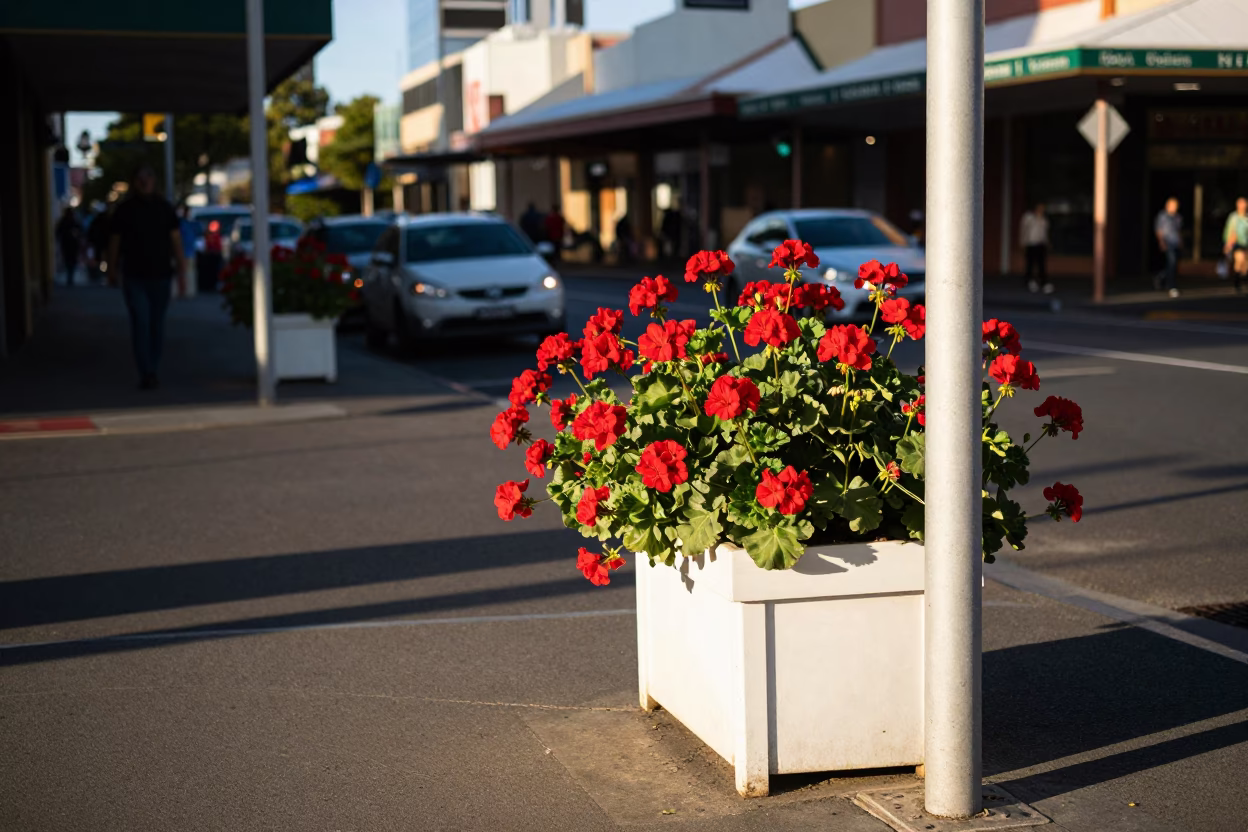 Late Afternoon in Perth at The Late Afternoon Light in in Perth, Western Australia, Australia