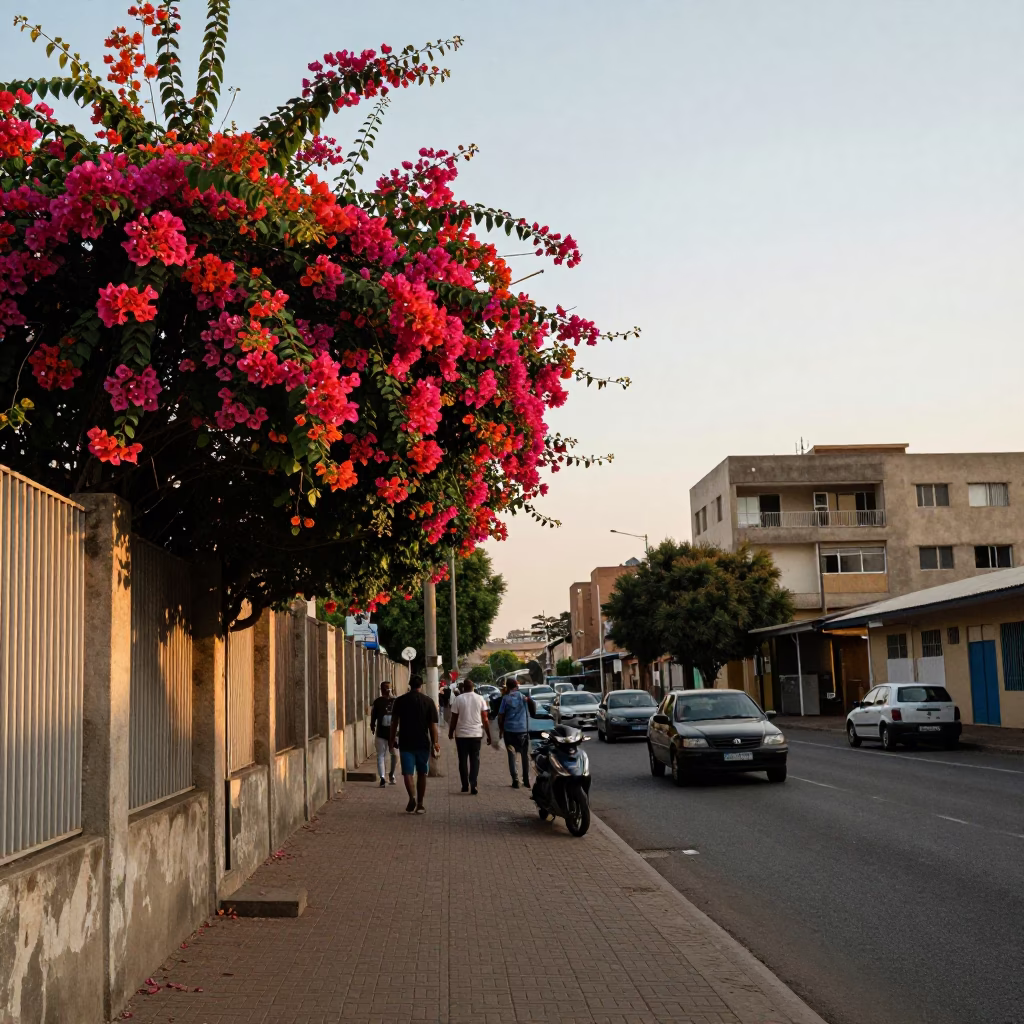 Late Afternoon Johannesburg Street Scene with Bougainvillea and Urban Life in in Johannesburg, South Africa