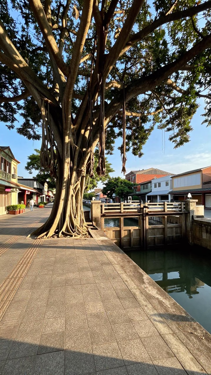 Late Afternoon Kaohsiung Street Scene with Kapok Tree Buttress Roots and Canal Lock Gates in in Kaohsiung, Taiwan