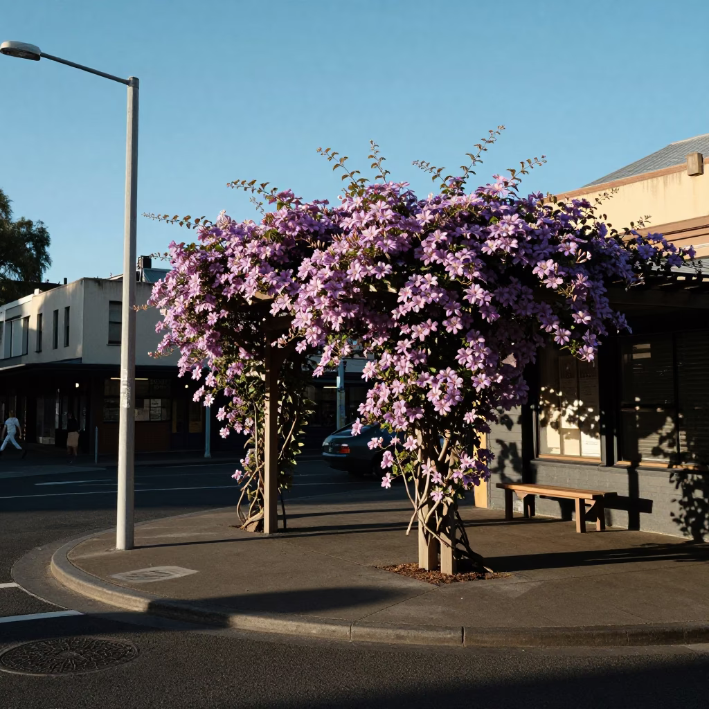 Late Afternoon Melbourne Street Scene with Clematis Pergola and Ceramic Pitcher in in Melbourne, Victoria, Australia
