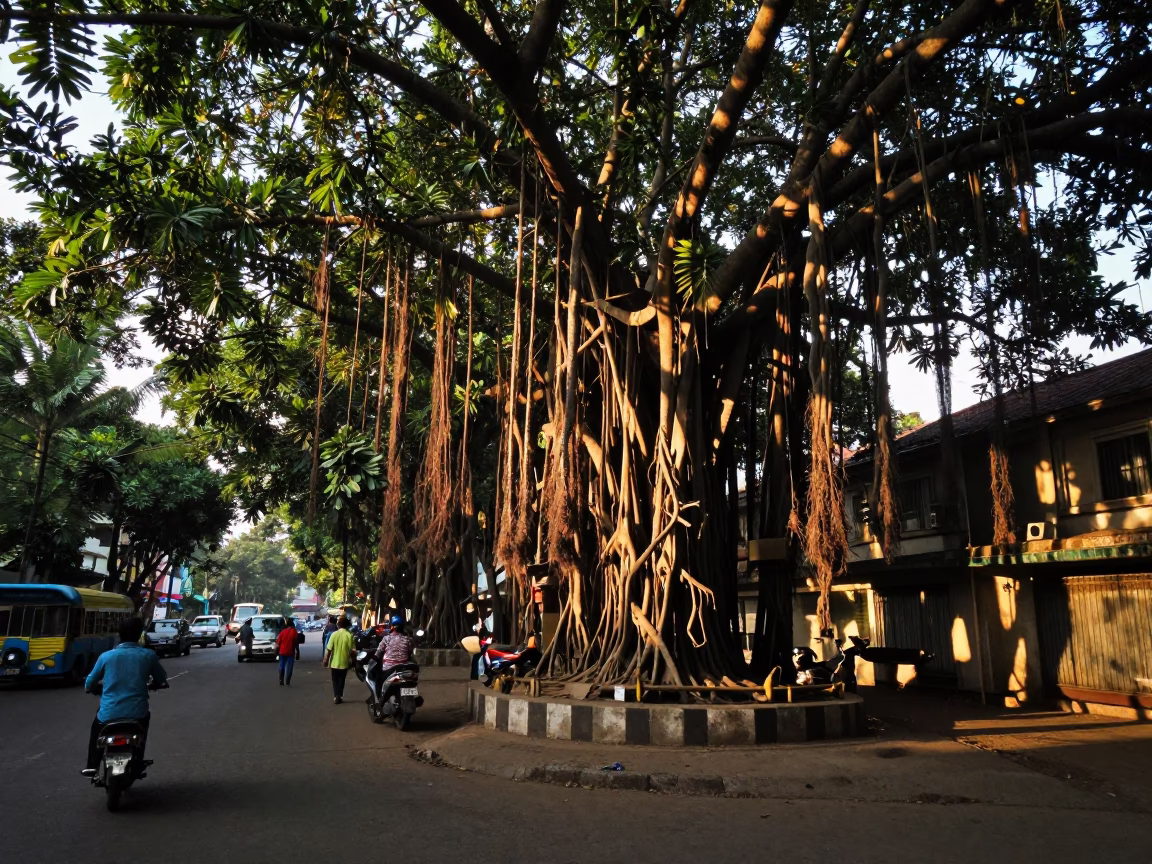 Late Afternoon Mumbai Street Scene with Banyan Grove and Local Life in in Mumbai, India