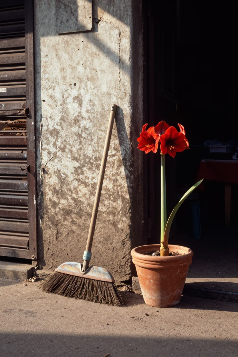 Late Afternoon Mumbai Street Scene with Broom and Amaryllis in Urban Neighborhood in in Mumbai, India