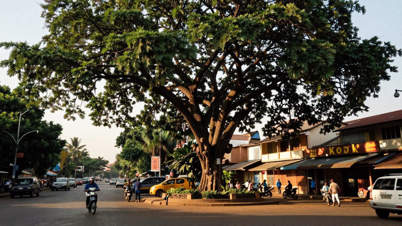 Late Afternoon Phnom Penh Street Scene with Kapok Tree and Local Commerce in in Phnom Penh, Cambodia