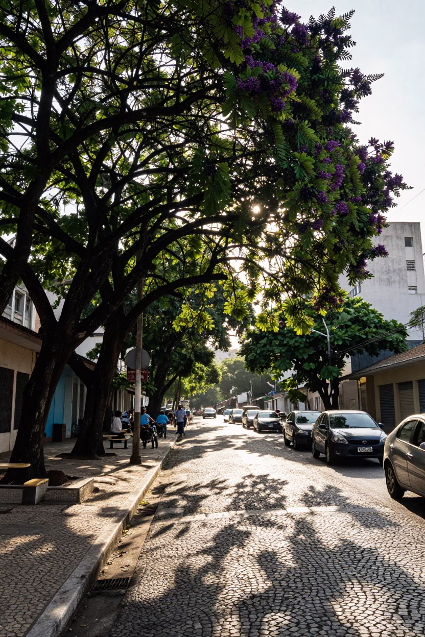Late Afternoon Rio de Janeiro Street Scene with Fig Tree and Funicular in in Rio de Janeiro, Brazil