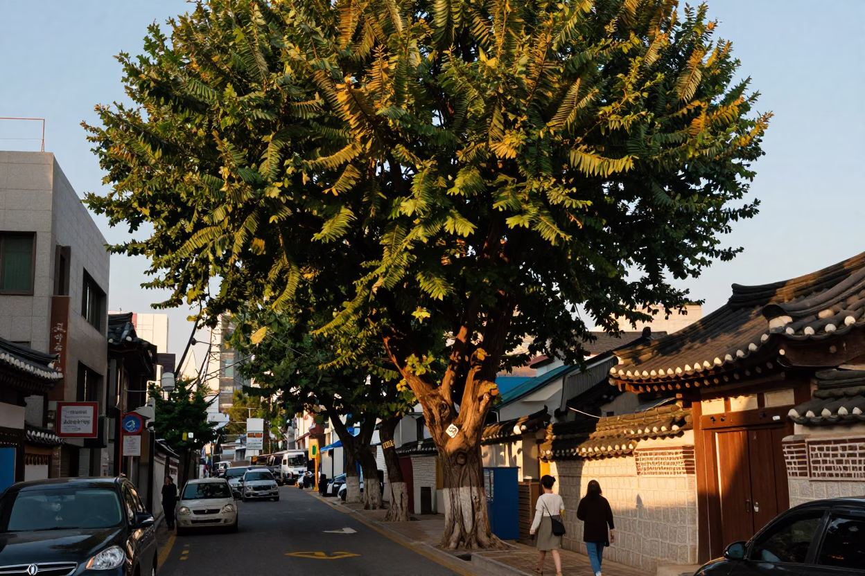 Late Afternoon Seoul Street Scene with Traditional Elements and Urban Life in in Seoul, South Korea