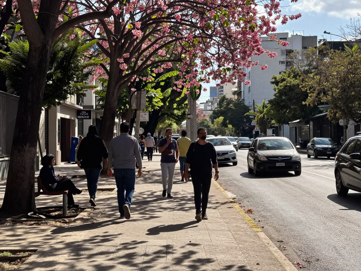 Late Afternoon Street Scene in Buenos Aires with Leaf Shadows and Dogwood in in Buenos Aires, Argentina