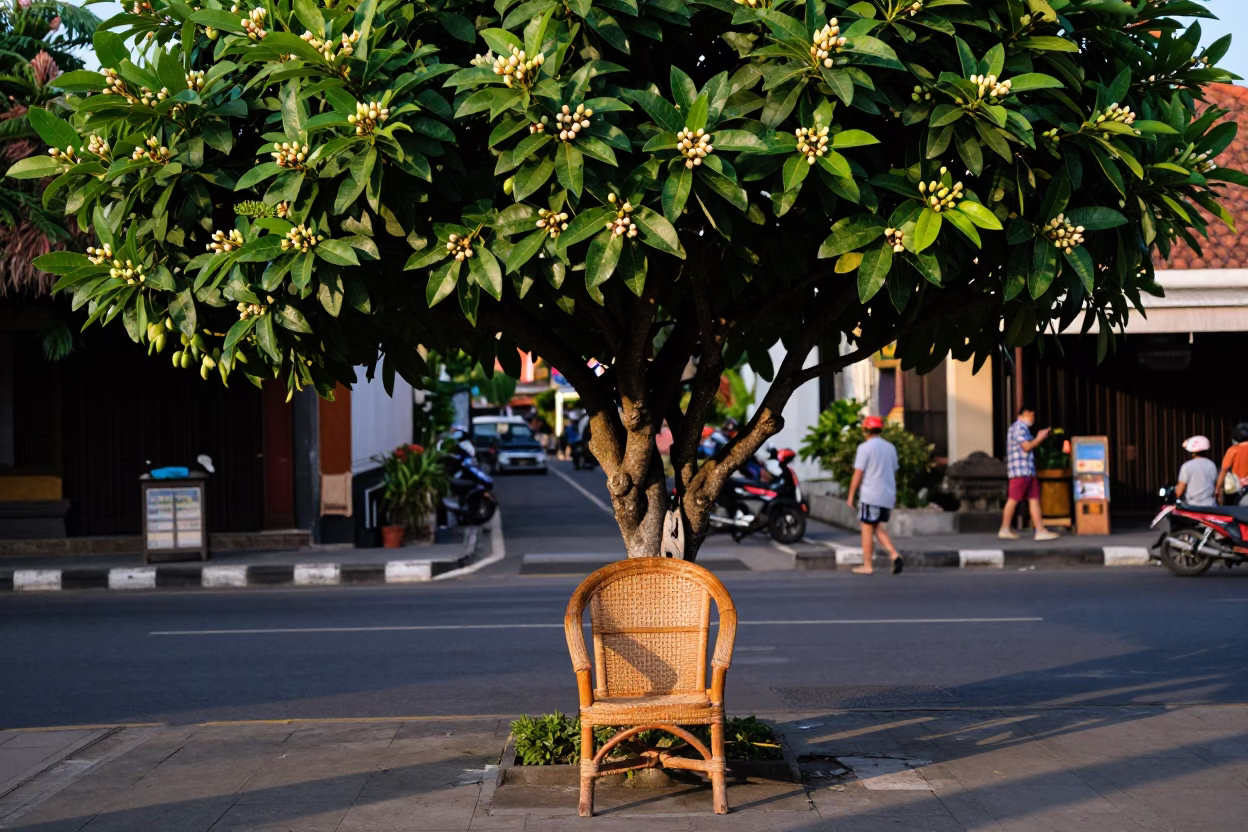 Late Afternoon Street Scene in Denpasar Bali Indonesia with Rattan Chair and Tropical Flora in in Denpasar, Indonesia