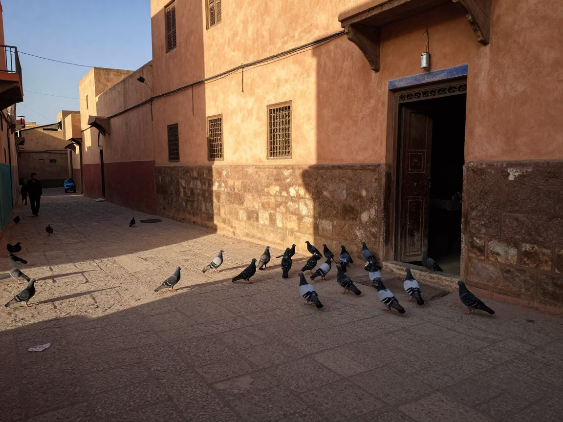 Late Afternoon Street Scene in Fez Morocco with Pigeons and Vintage Jar in in Fez, Morocco