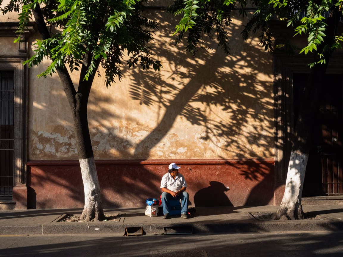 Late Afternoon Street Scene in Mexico City with Leaf Shadows and Sketchbook in in Mexico City, Mexico